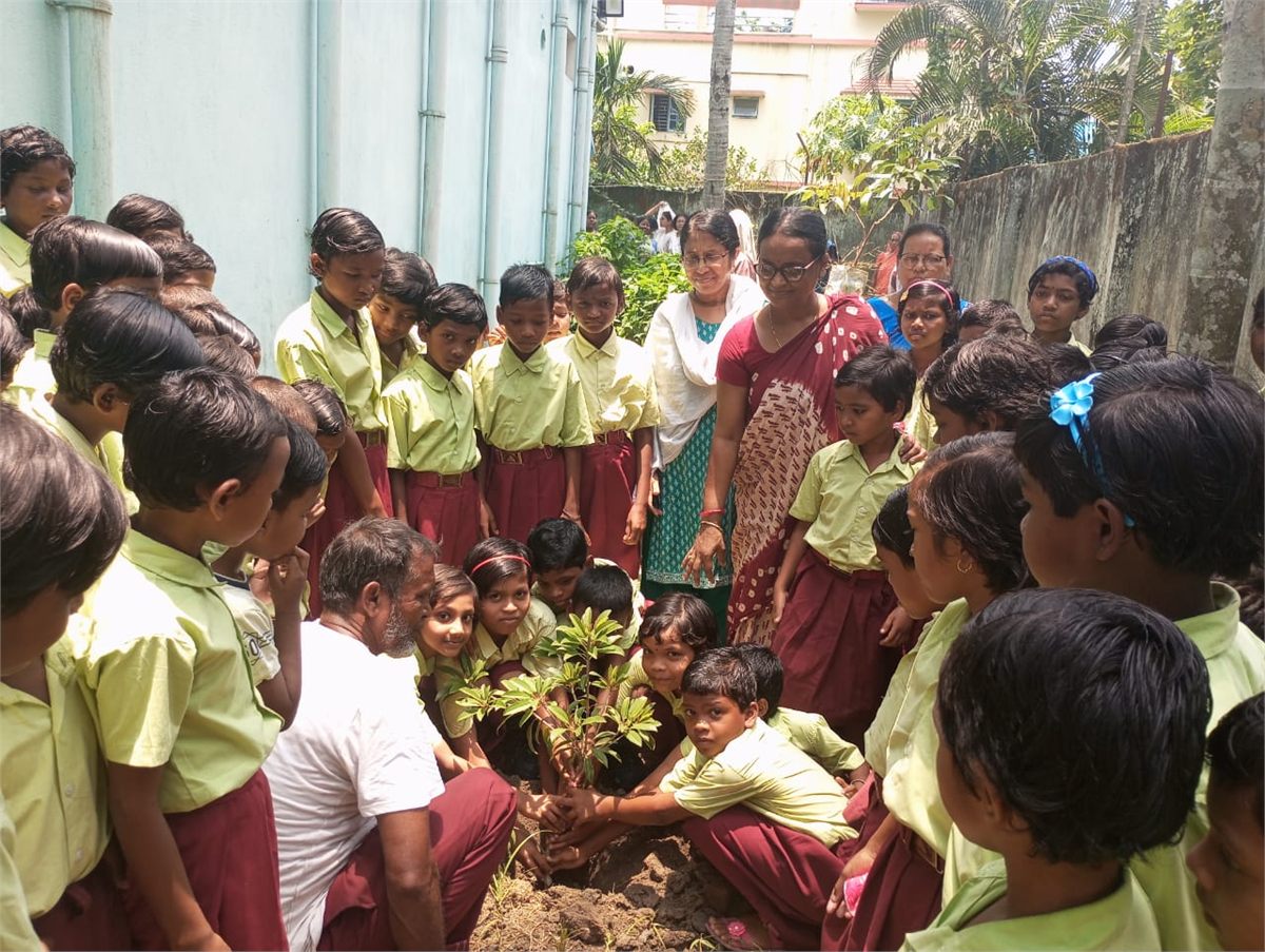 School children planting a sapling in their school grounds